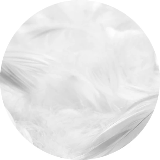 Almizcle blanco