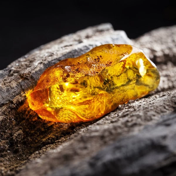 Ambertonic