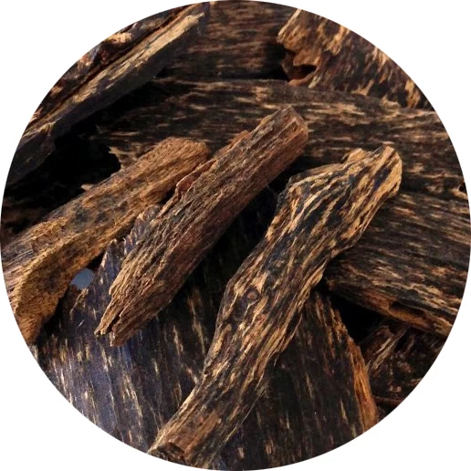 Oud camboyano