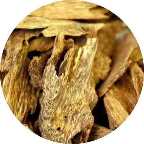 Oud