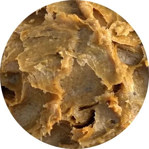 Cibetina