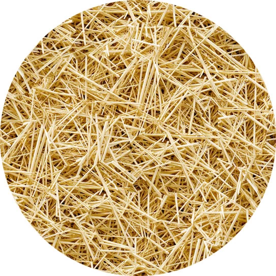 Paja