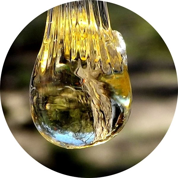 Elemi