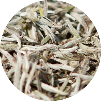 Té blanco