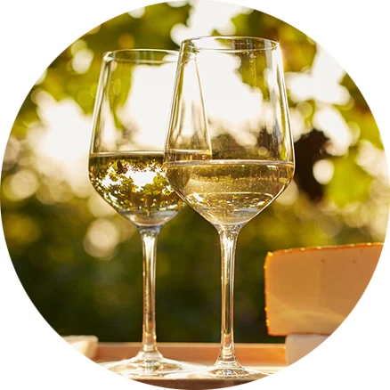 Vino blanco