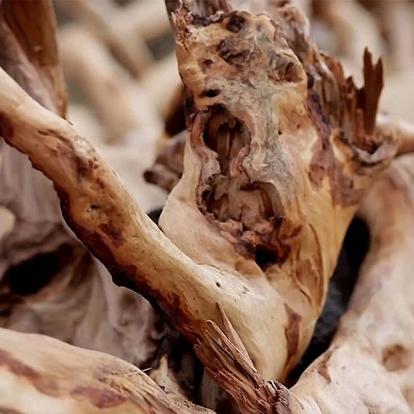 Madera de pámpano