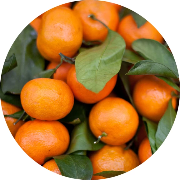 Naranja tangerina