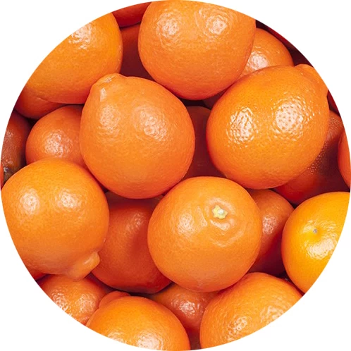 Tangelo