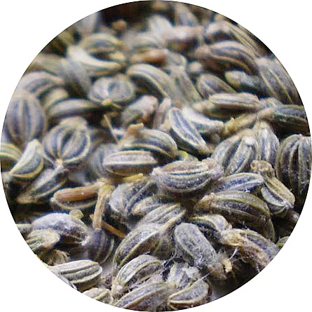 Semillas de perejil