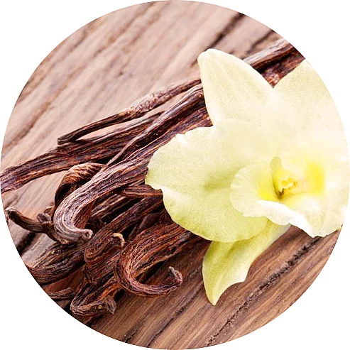 Vainilla Bourbon
