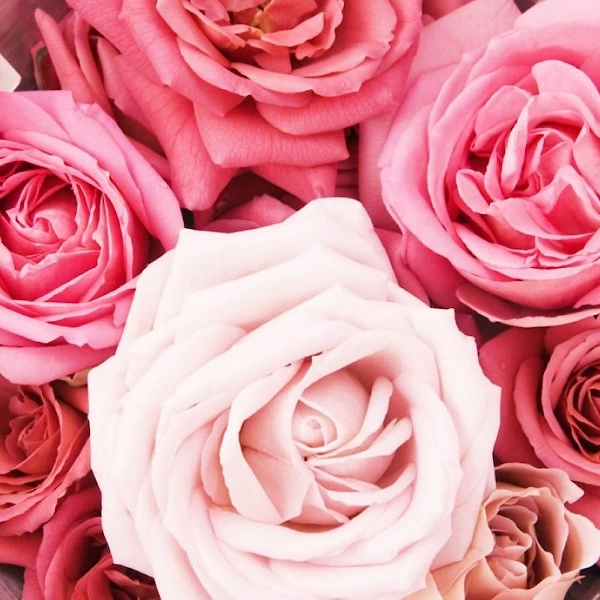 Florales