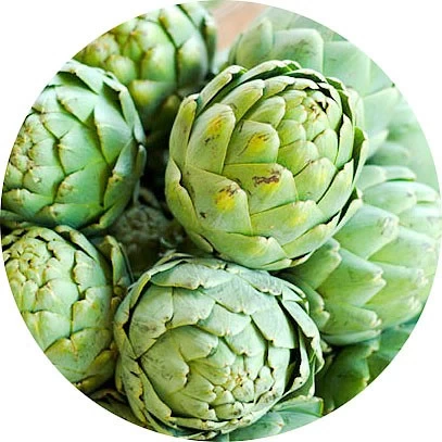 Alcachofa