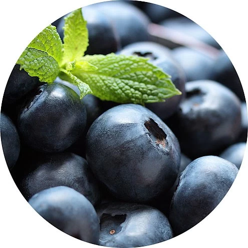 Bayas de Açai