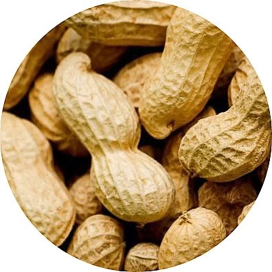 Cacahuete