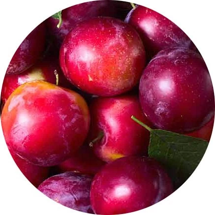 Ciruela