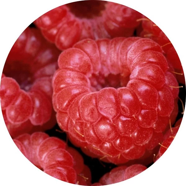 Frambuesa