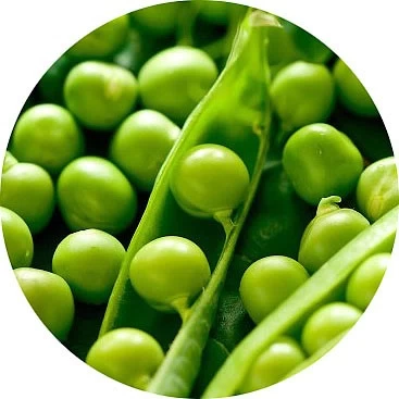 Guisantes