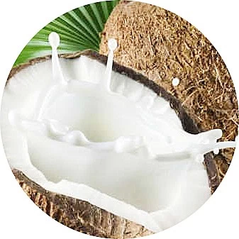 Leche de coco