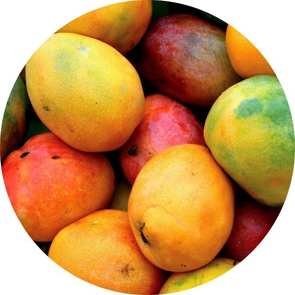 Mango
