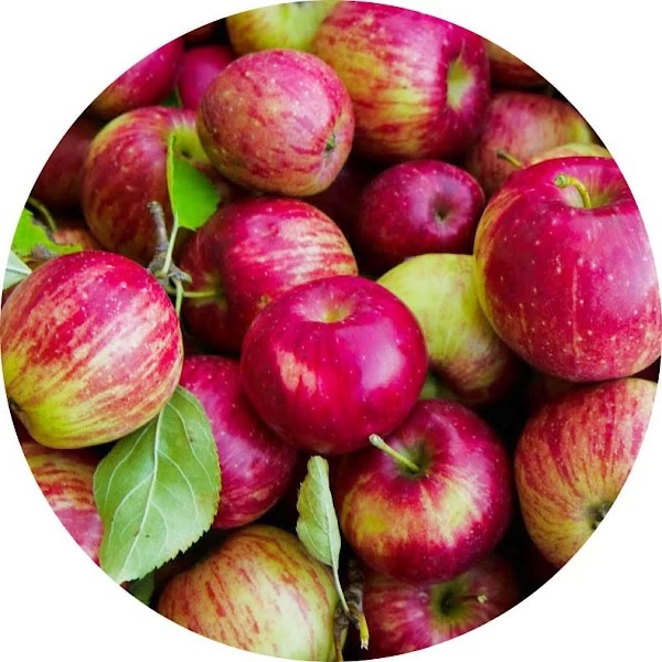 Manzana