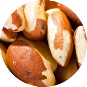 Nuez de Brasil