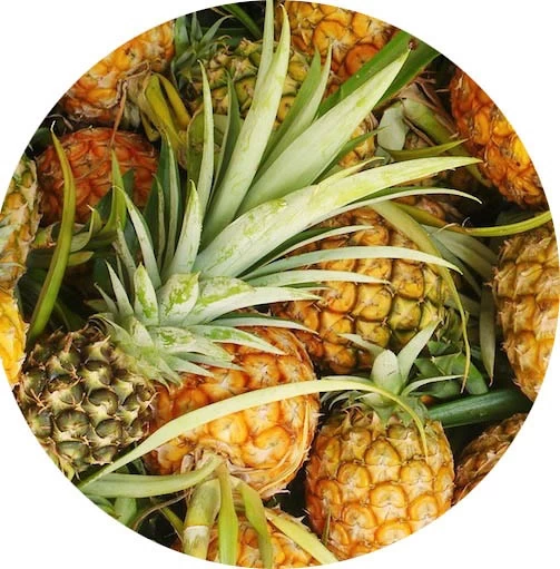 Piña