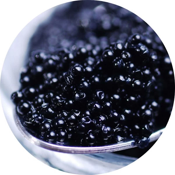 Caviar negro