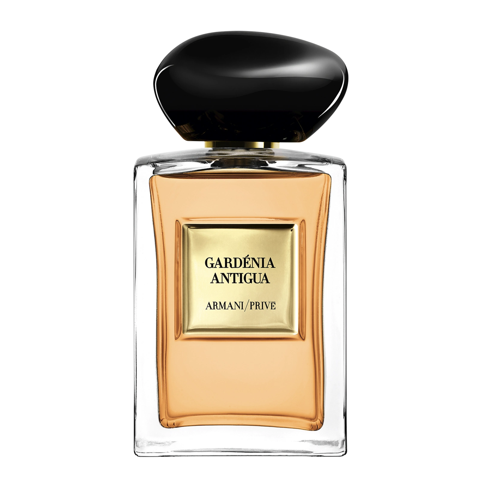 Gardenia Antigua