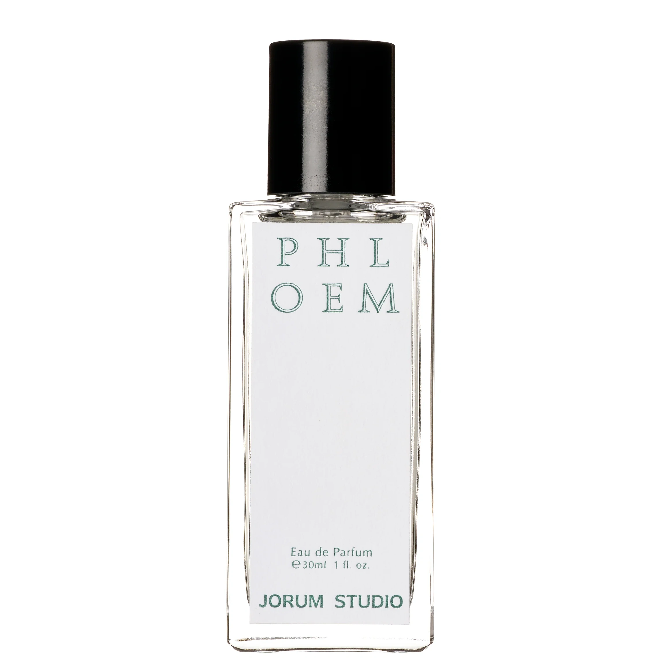 Phloem
