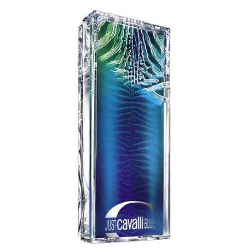 Just Cavalli Blue