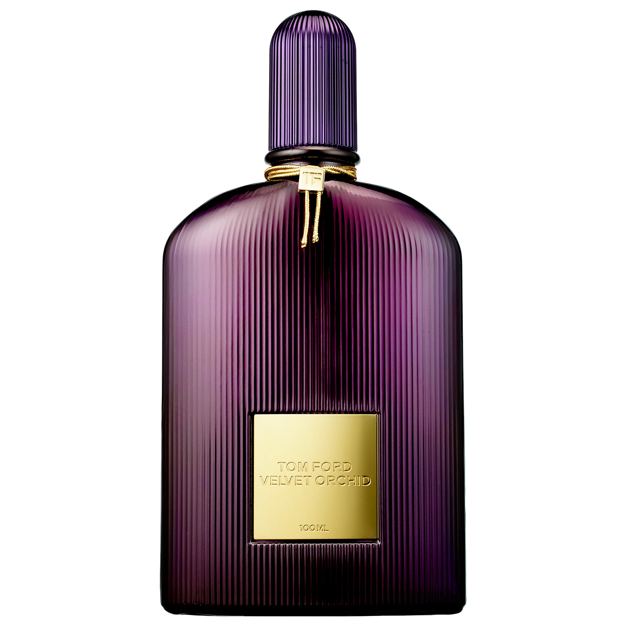 Velvet Orchid